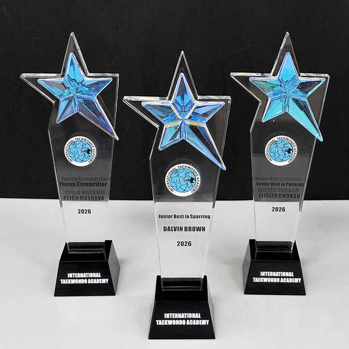 Rainbow Star Crystal Glass Awards Trophy MH-LJ0931