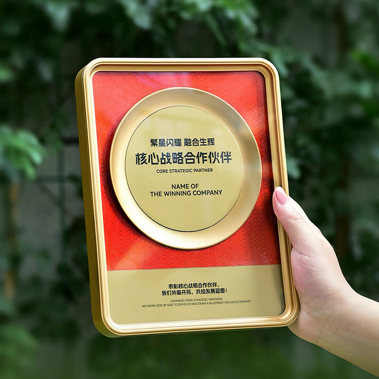 20x26x3cm Personalized Rectangle Plastic Certificate Plaque with Acrylic and Gold Plate MH-FJ0026