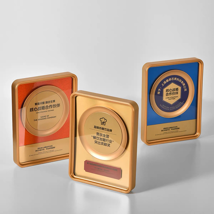 20x26x3cm Personalized Rectangle Plastic Certificate Plaque with Acrylic and Gold Plate MH-FJ0026