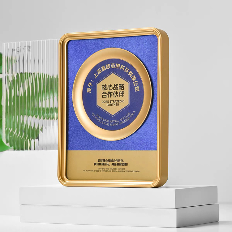 20x26x3cm Personalized Rectangle Plastic Certificate Plaque with Acrylic and Gold Plate MH-FJ0026