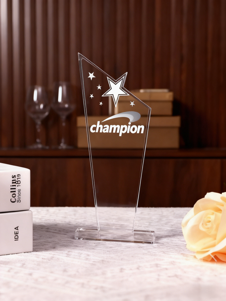 Custom Clear Acrylic Trophy - Engraved Inspirational Quote Recognition Award for Employee Appreciation & Corporate Recognition