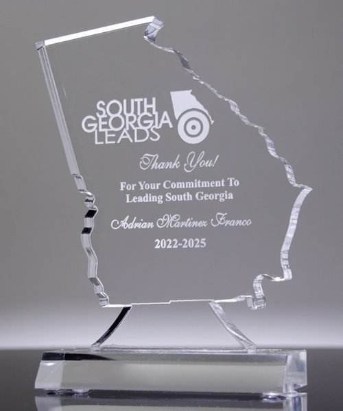 Unique Acrylic Award Custom Georgia Acrylic State Shape Trophy