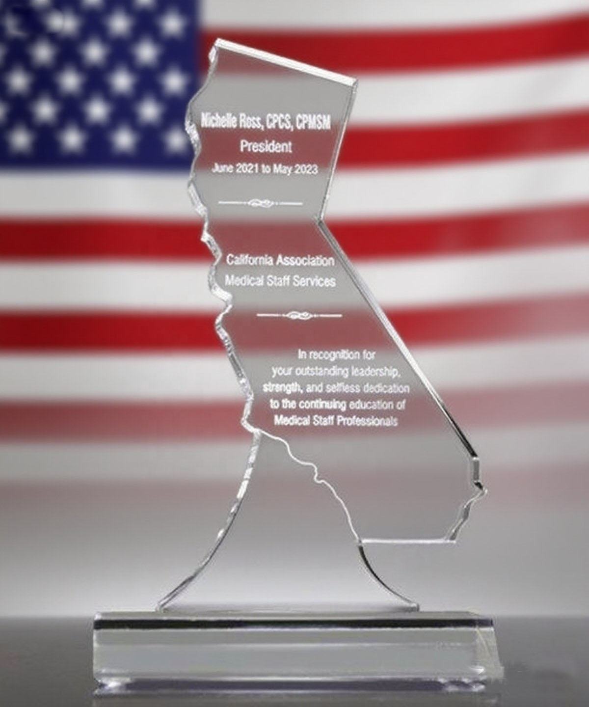 Unique Acrylic Award Custom Georgia Acrylic State Shape Trophy