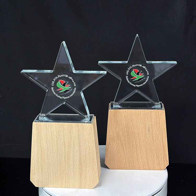 Custom Engraved Star Crystal Glass Wood Award Trophies Plaques Wooden Trophy MH-LJ0846