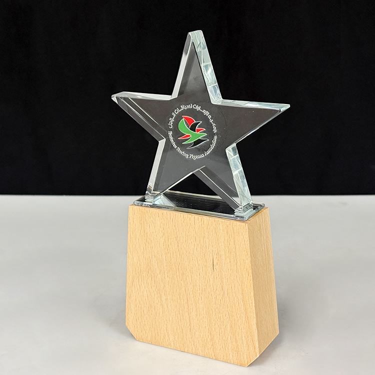 Custom Engraved Star Crystal Glass Wood Award Trophies Plaques Wooden Trophy MH-LJ0846