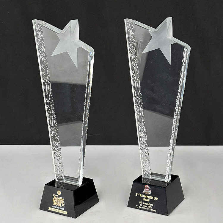 Blank Clear Frosted Star Glass Crystal Trophy MH-LJ0781