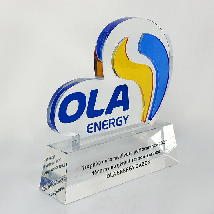 Personalized Customized Shape Glass Crystal Trophy MH-LJ0812
