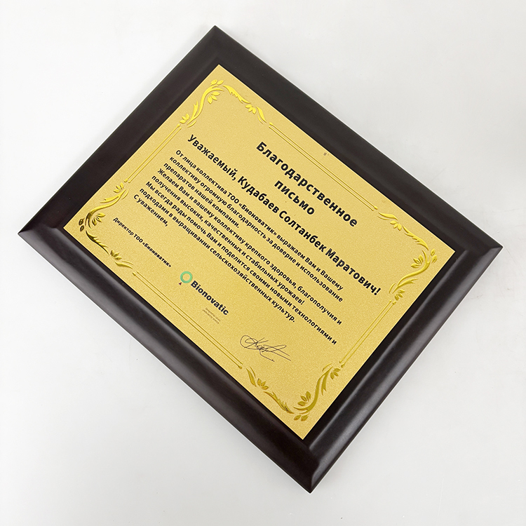 Gold Metal Plated Walnut Wood Plaque Wooden Business Trophy Award Plaque Certificate MH-LJ0798