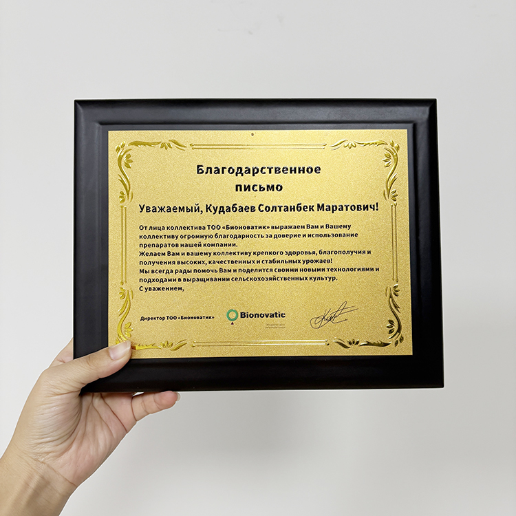 Gold Metal Plated Walnut Wood Plaque Wooden Business Trophy Award Plaque Certificate MH-LJ0798