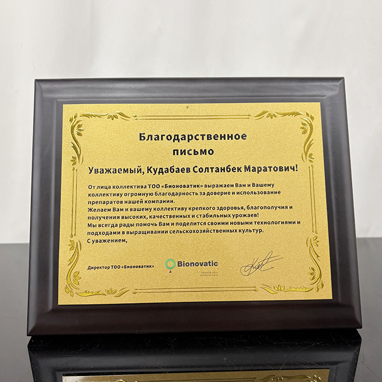 Gold Metal Plated Walnut Wood Plaque Wooden Business Trophy Award Plaque Certificate MH-LJ0798