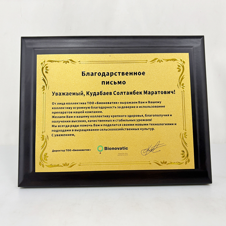 Gold Metal Plated Walnut Wood Plaque Wooden Business Trophy Award Plaque Certificate MH-LJ0798
