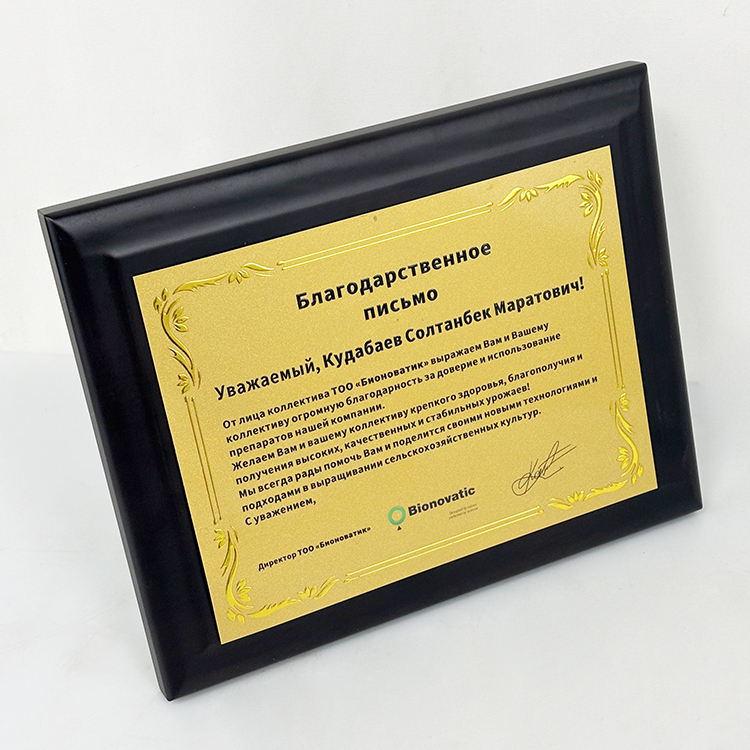 Gold Metal Plated Walnut Wood Plaque Wooden Business Trophy Award Plaque Certificate MH-LJ0798