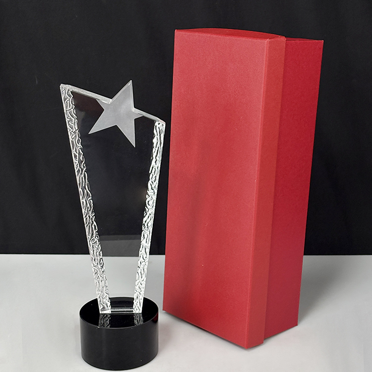 Blank Clear Frosted Star Glass Crystal Trophy MH-LJ0786