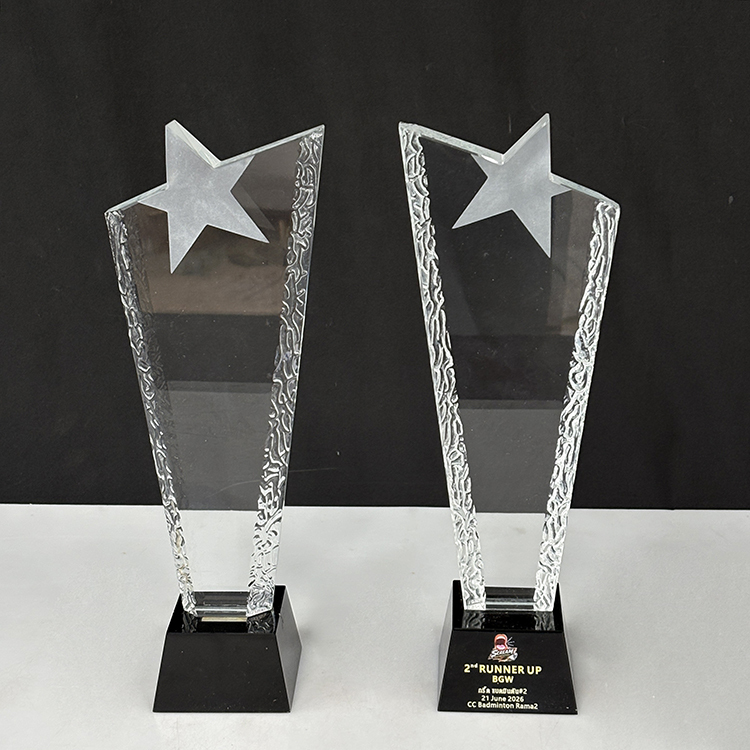 Blank Clear Frosted Star Glass Crystal Trophy MH-LJ0781