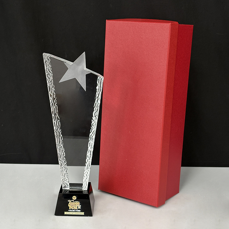 Blank Clear Frosted Star Glass Crystal Trophy MH-LJ0781