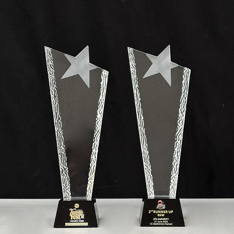 Blank Clear Frosted Star Glass Crystal Trophy MH-LJ0781