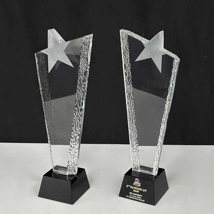 Blank Clear Frosted Star Glass Crystal Trophy MH-LJ0781