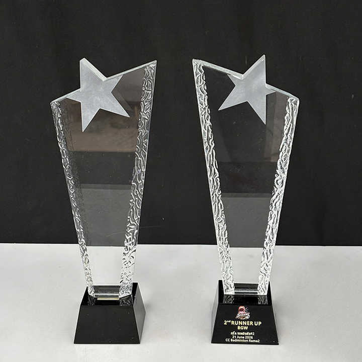 Blank Clear Frosted Star Glass Crystal Trophy MH-LJ0781