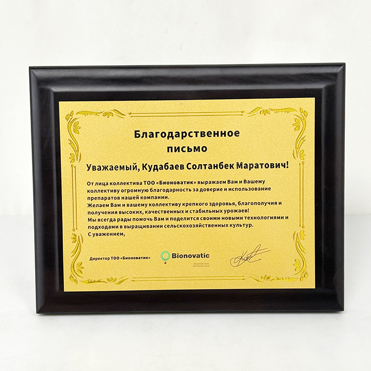 Gold Metal Plated Walnut Wood Plaque Wooden Business Trophy Award Plaque Certificate MH-LJ0798