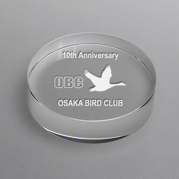 Diamond Cut Crystal Stock Blank Paper Weight for Fast Delivery