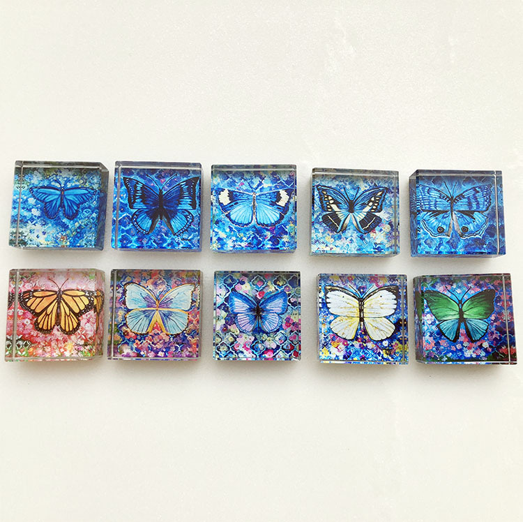 Personalized butterfly Printing square Crystal Glass Block Paperweight MH-F0629