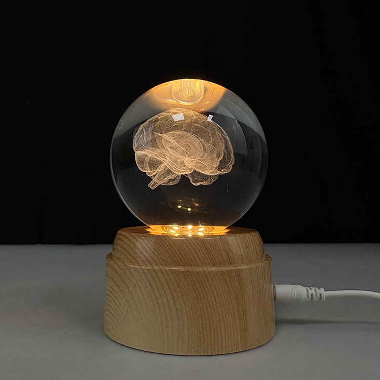 Light up Laser Human Brain Crystal  Ball with Rotating Plastic Led Light Base MH-Q0287