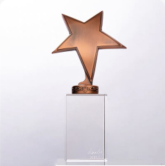 Bronze Star