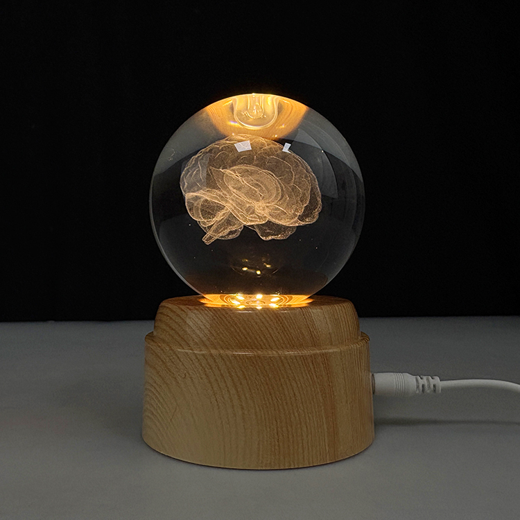 Light up Laser Human Brain Crystal  Ball with Rotating Plastic Led Light Base MH-Q0287