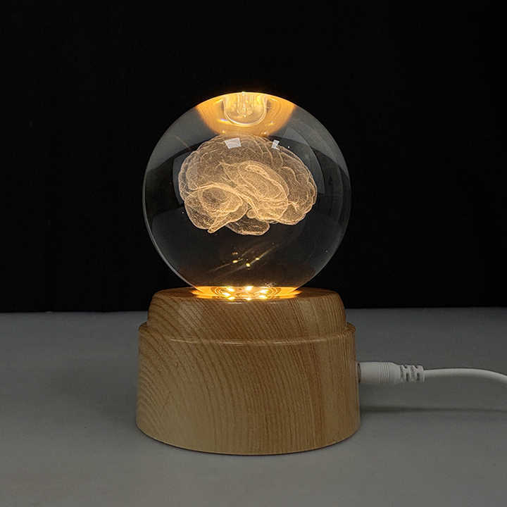 Light up Laser Human Brain Crystal  Ball with Rotating Plastic Led Light Base MH-Q0287