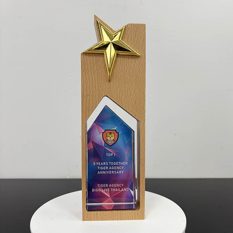 Gold Star Personalized Wooden Plaque Crystal Trophy MH-FJ0049