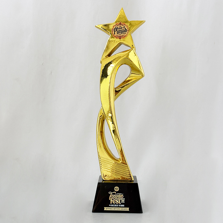Gold Bronze Resin Star Crystal Plaque Crystal Trophy Award MH-LJ0450