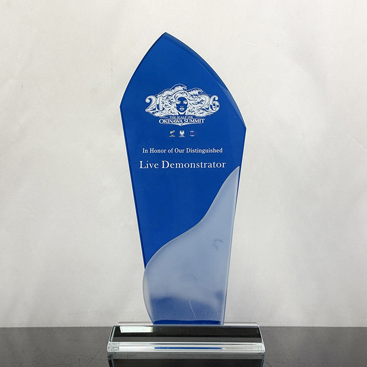 Blue Frosted Clear Crystal Glass Trophy Award MH-LJ0657