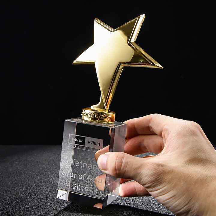 Kindergarten Students Honor Champion Gold Silver Bronze Metal Star Crystal Trophies Carved Engraved Awards