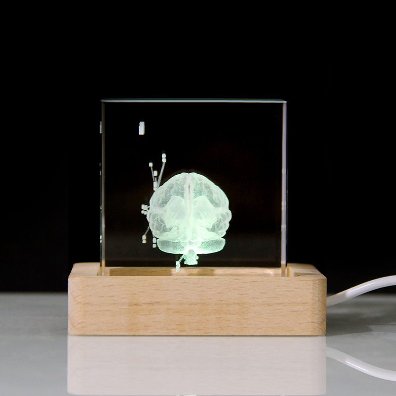 3D Human Brain Anatomy Model Medical Gifts Crystal Cube Engraved Brain Glass Block Doctor Pharmaceutical Company Gifts
