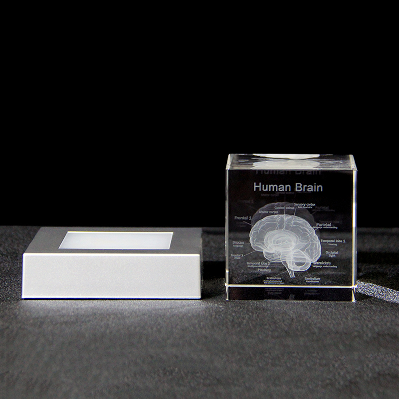 3D Human Brain Anatomy Model Medical Gifts Crystal Cube Engraved Brain Glass Block Doctor Pharmaceutical Company Gifts