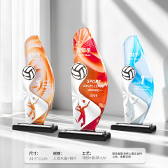 Sports crystal trophy-volleyball design