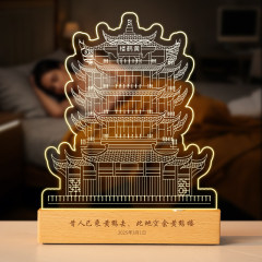Landmark souvenir case 5