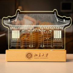 Landmark souvenir case 6