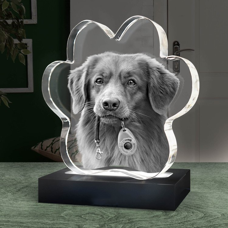 Shining Custom Crystal 3D Laser Engraved Pet Paw Shape Crystal Block for Souvenir Gift