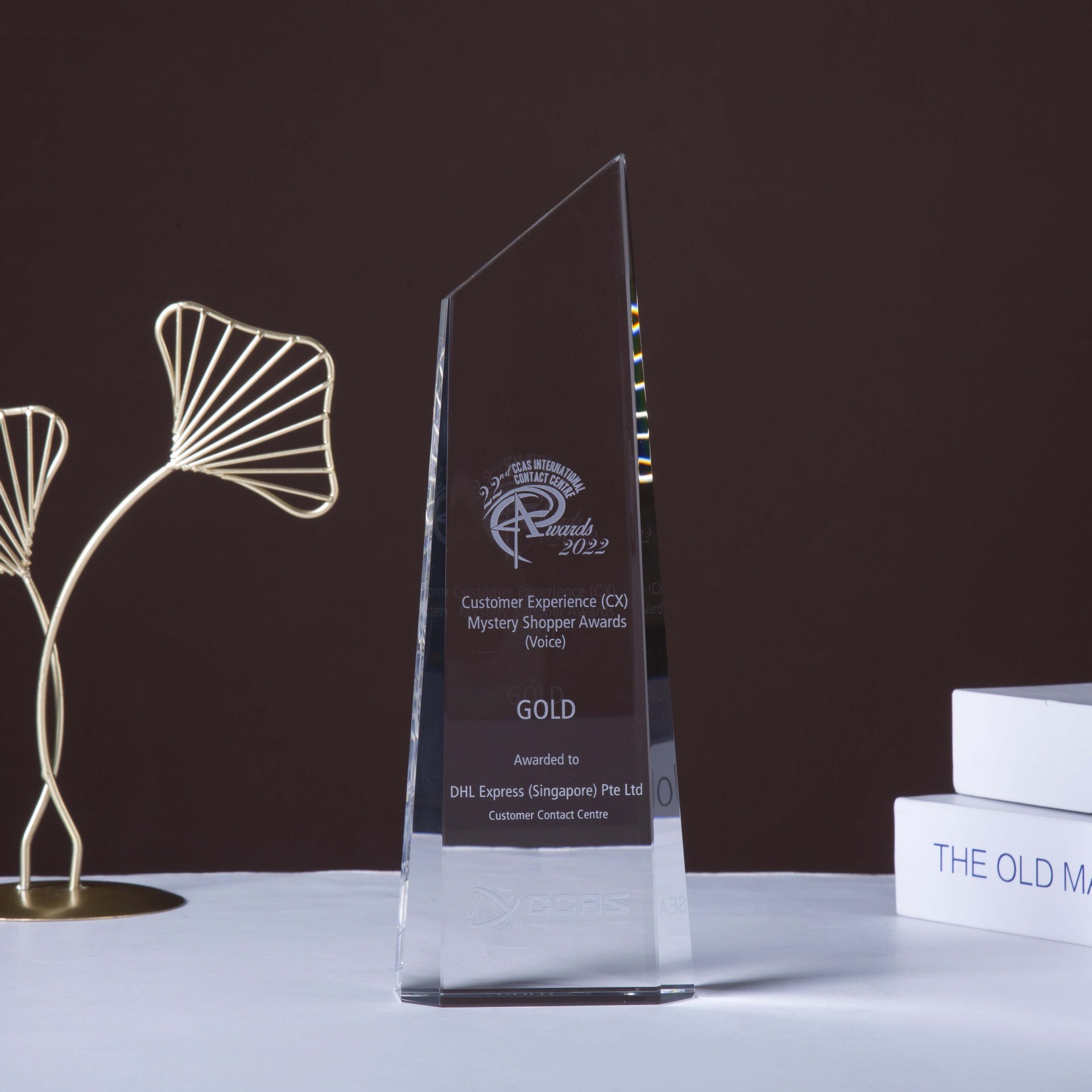 Honor of Crystal Customized 3D Engraving Crystal Sport Trophy Crystal Glass Award Trophy