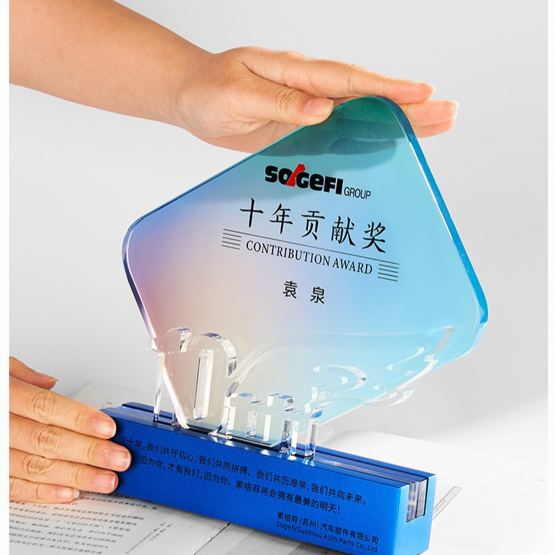 2025 Hot Marketing Customized 10th Anniversary Souvenir Celebration Digital LOGO Modeling Medal Wholesale Crystal Trophy