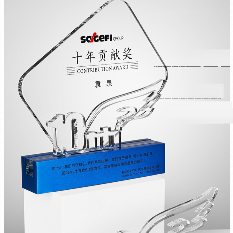 2025 Hot Marketing Customized 10th Anniversary Souvenir Celebration Digital LOGO Modeling Medal Wholesale Crystal Trophy