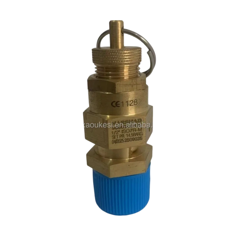 High Quality Fusheng Atlas Industrial Air Compressor Safety Valve 14.5 Bar Metal Shanghai Origin Air Compressor Parts 9096906420,Xi'an Oukesi Machinery Equipment Co.,Ltd,High Quality Fusheng Atlas Industrial Air Compressor Safety Valve 14.5 Bar Metal Shanghai Origin Air Compressor Parts 9096906420-Xi'an Oukesi Machinery Equipment Co.,Ltd