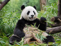 The Wonders of China Journey
