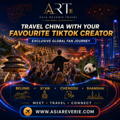 TikTok Agency Special Presents
