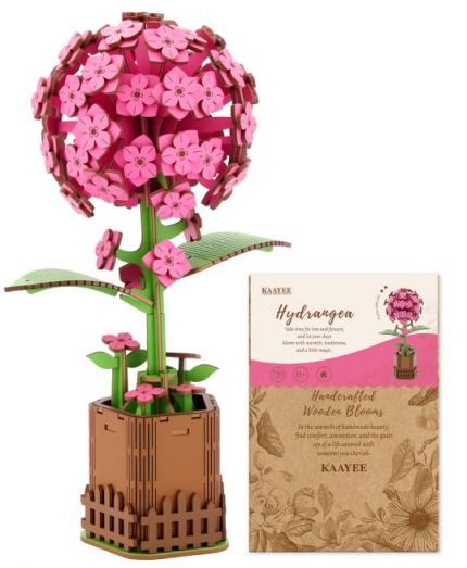 Hydrangea