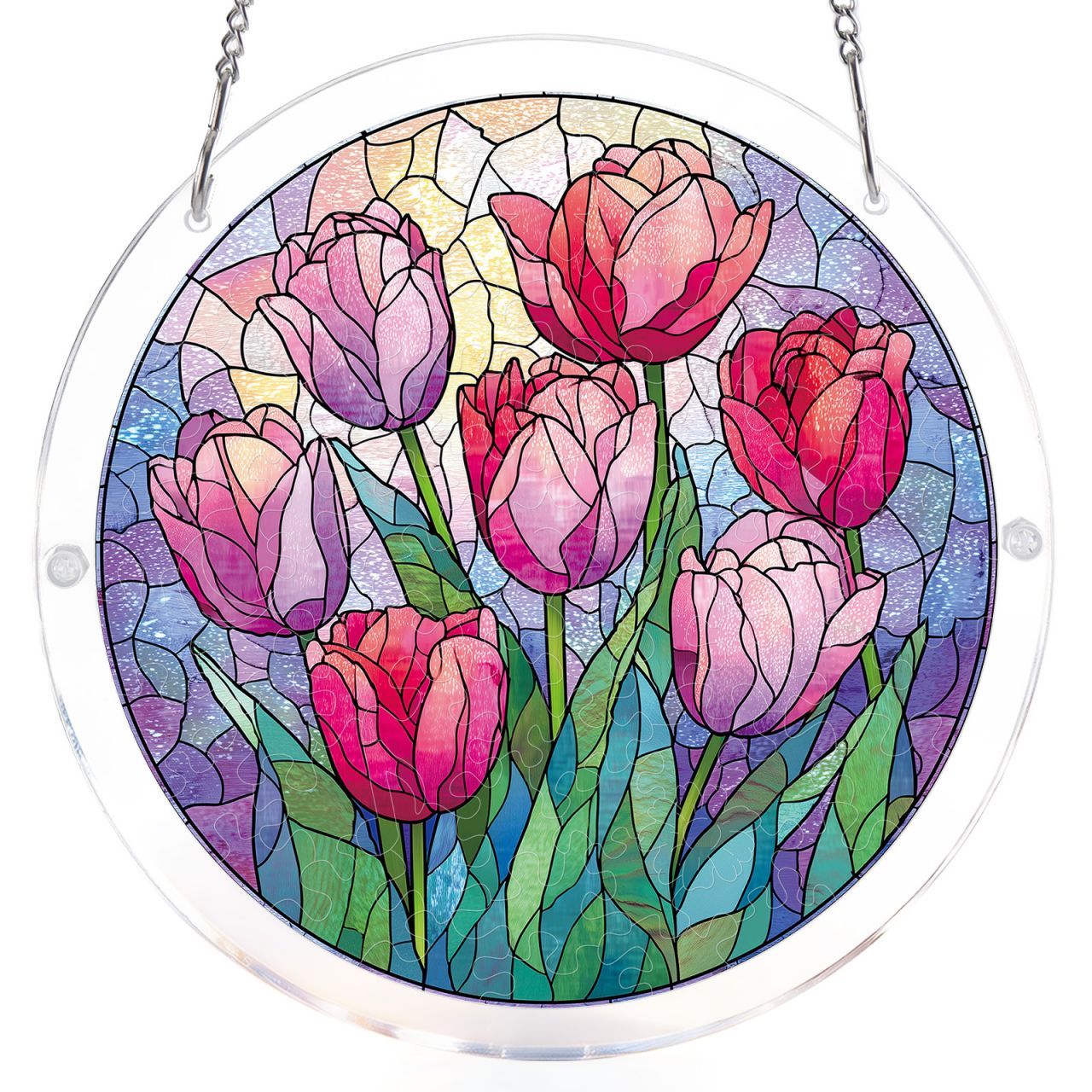 Morning Glow Tulips