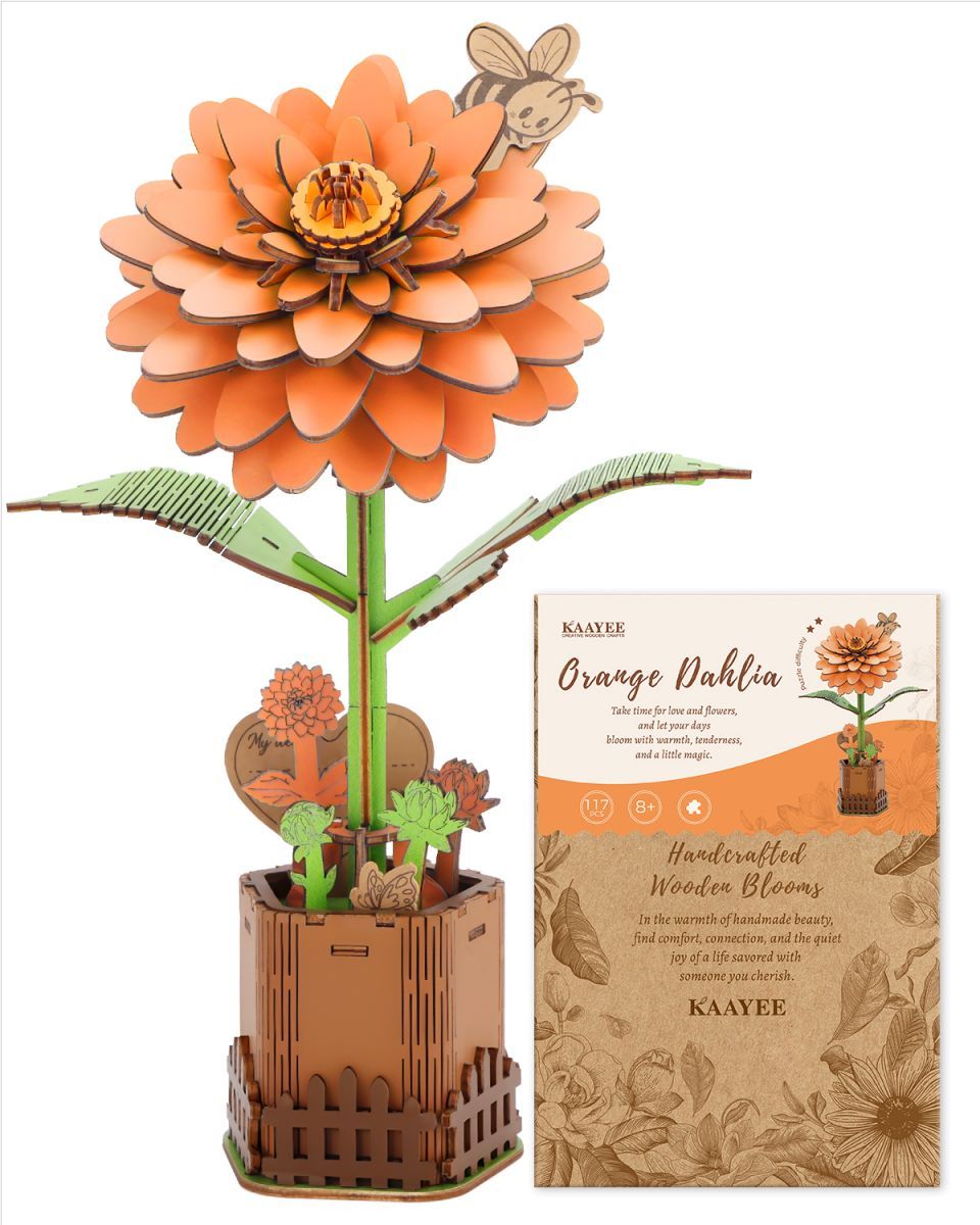 Orange Dahlia