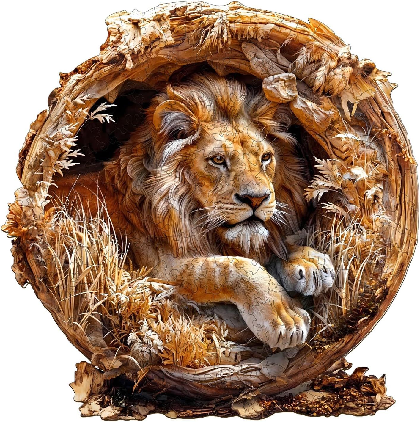 Lion's Gaze