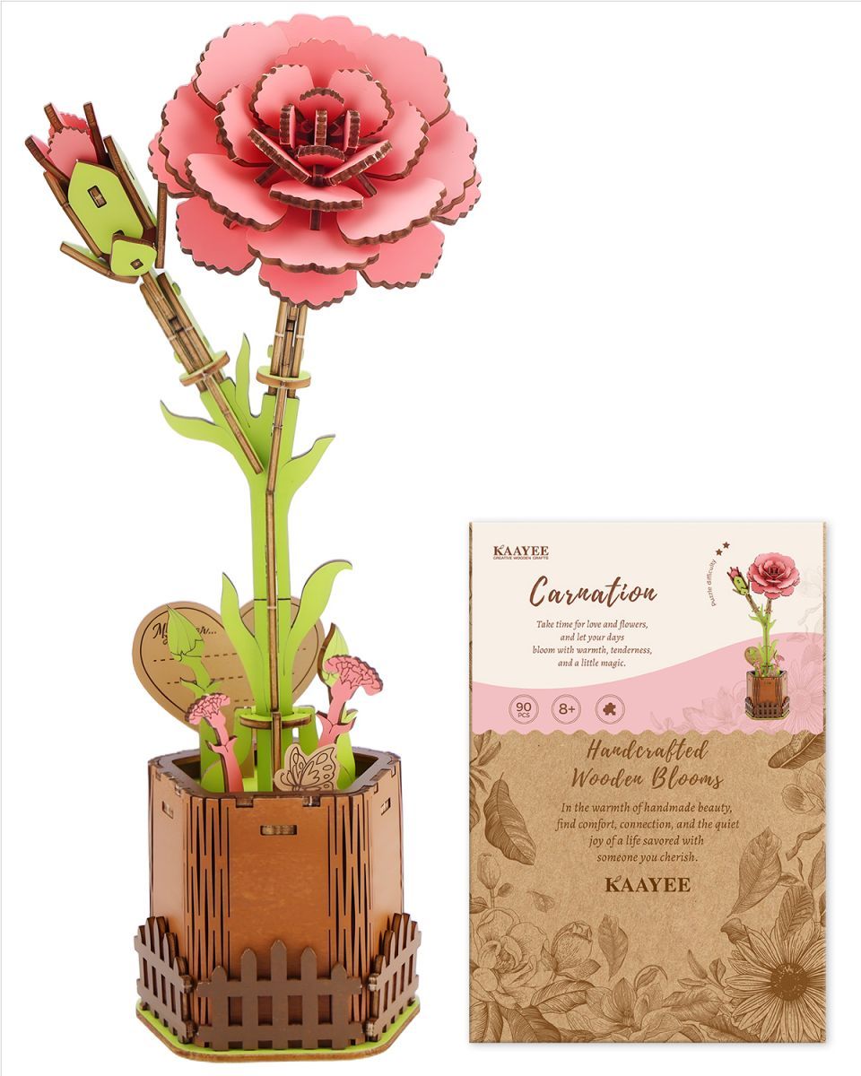 Carnation